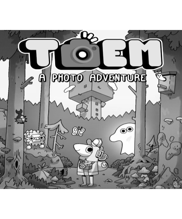 TOEM: A Photo Adventure Steam Key EUROPE